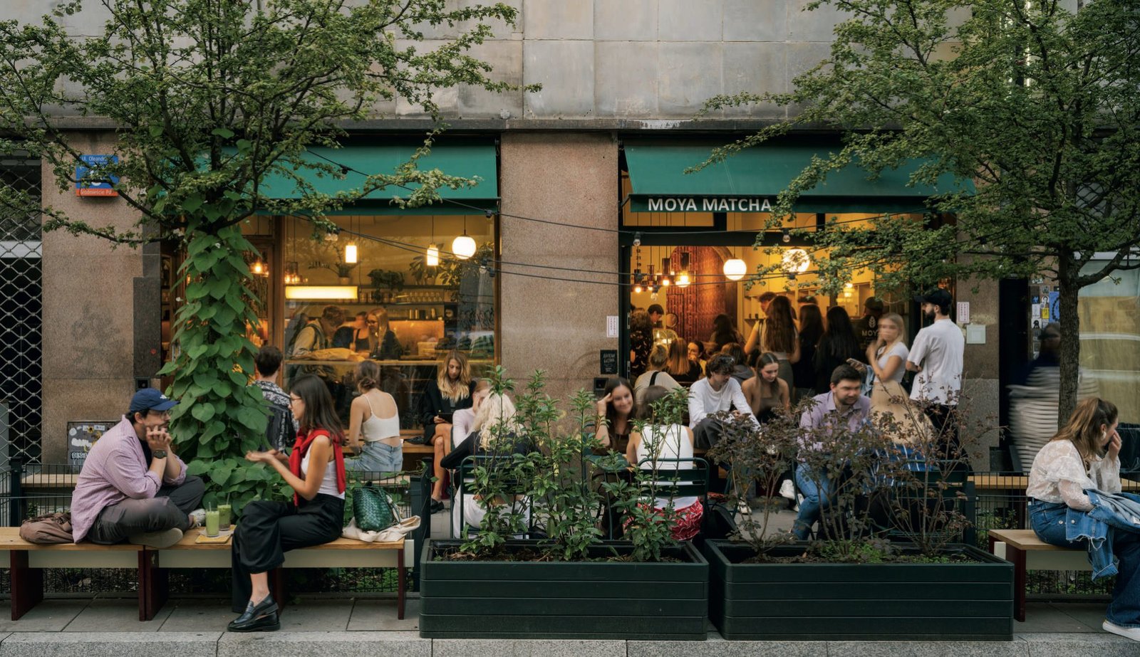 Gdzie jest najlepsza matcha w Warszawie? Sprawdzamy MOYA MATCHA